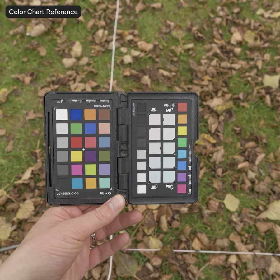 Çim Zemin Dokusu Üzerinde Yapraklar