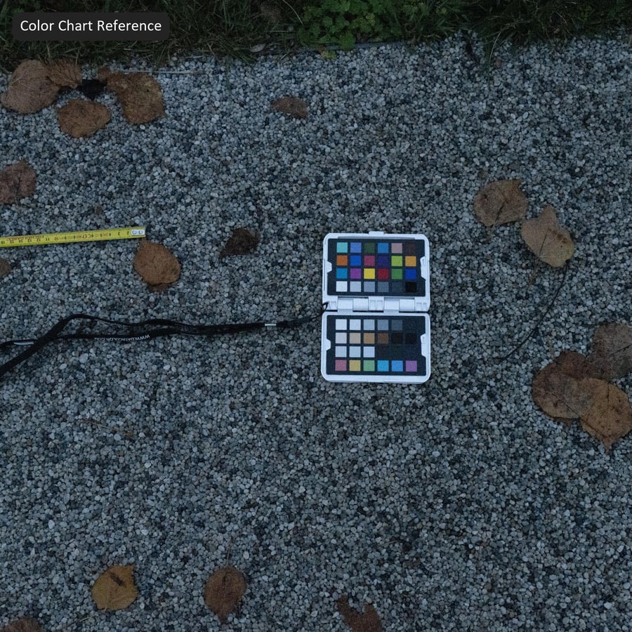 Fallen Leaves on Aggregate Concrete Sidewalk Texture