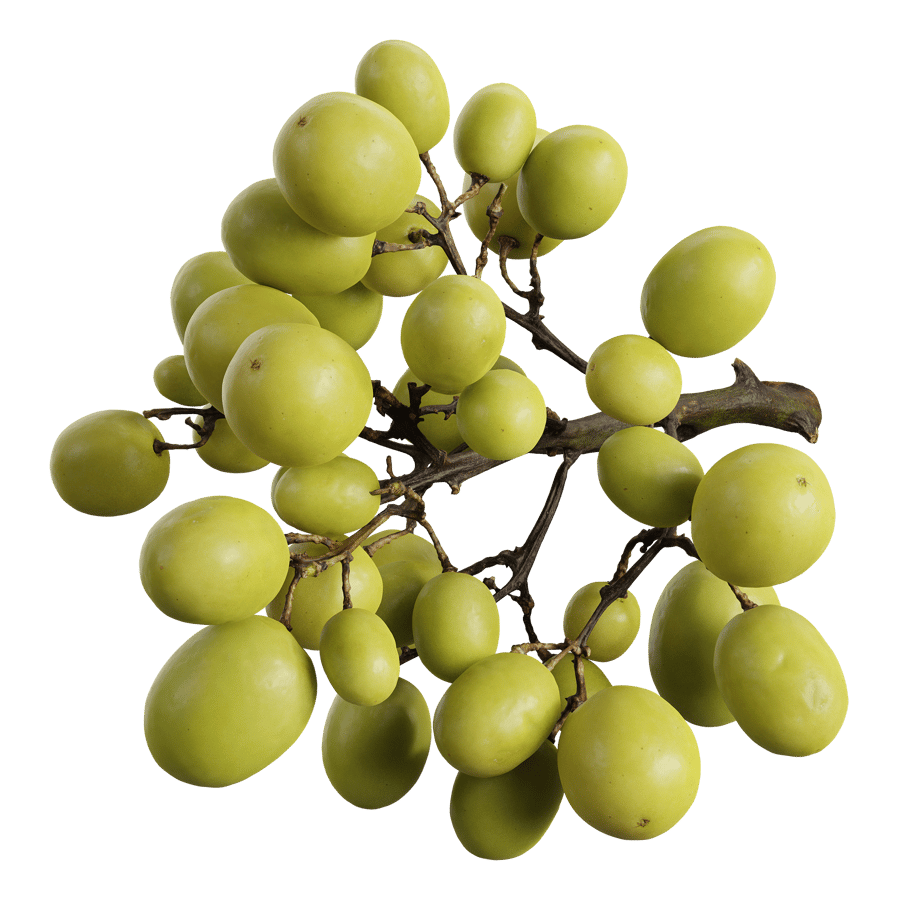 Green Grapes Model