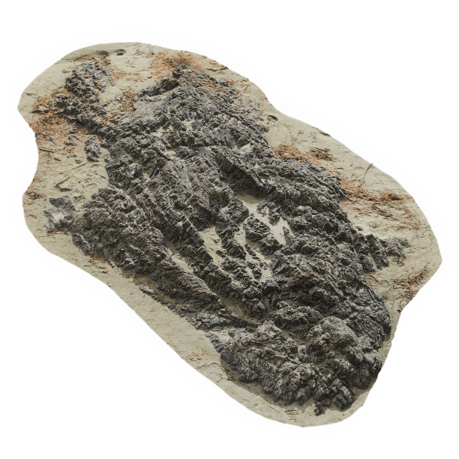 Large Rough Beach Rock Model