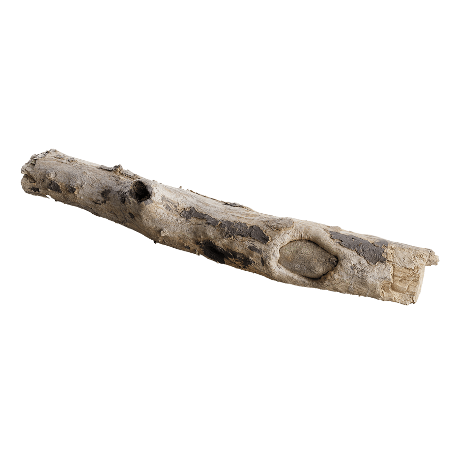 Medium Bare Conifer Log Model