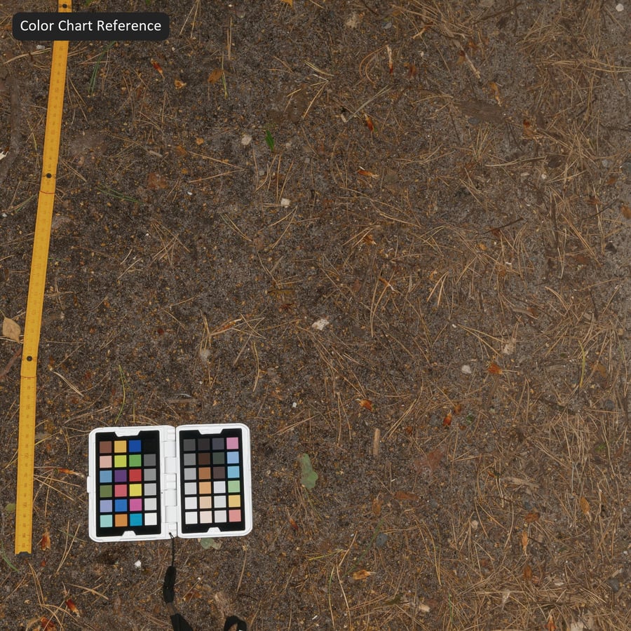 Rocky Dirt Road Texture