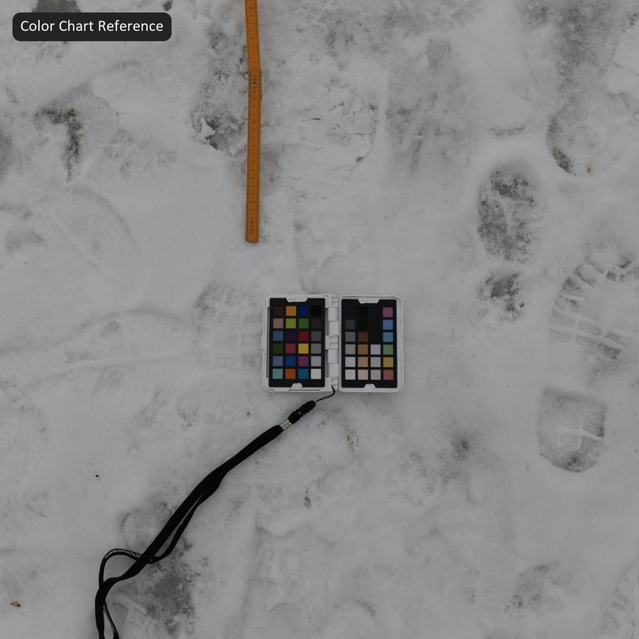 Footprints on Snow Texture