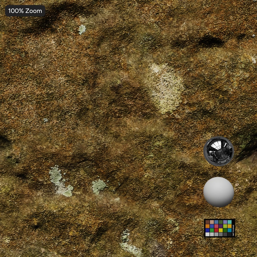 Textura de roca cubierta de musgo liquen, amarilla