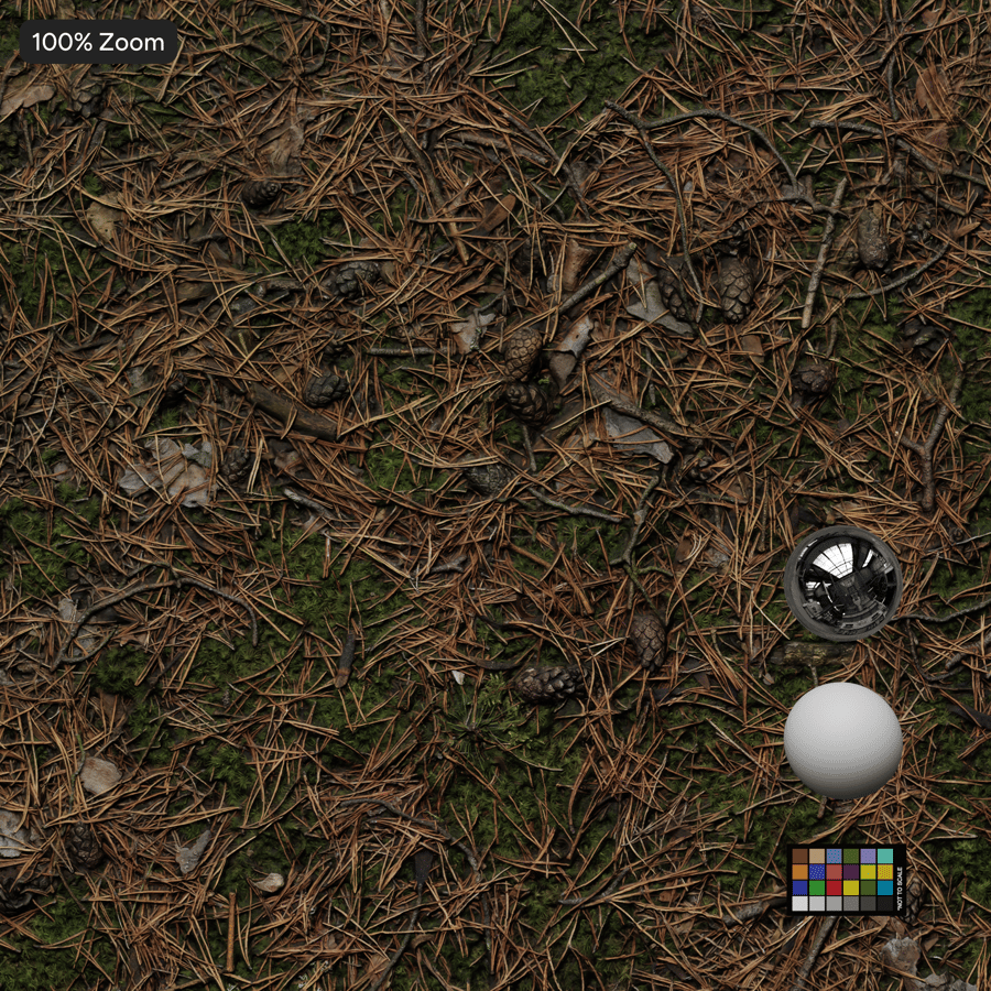 Folhas de pinheiro secas no solo Textura