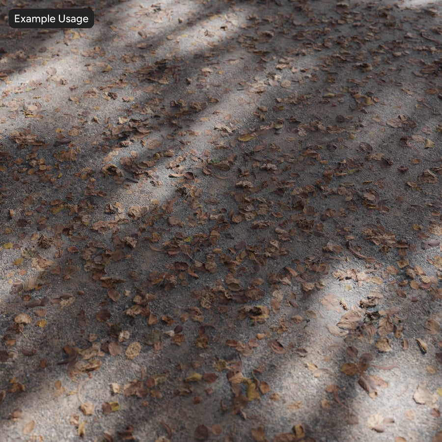 Feuilles tombées sur une texture de route en granulats d'asphalte