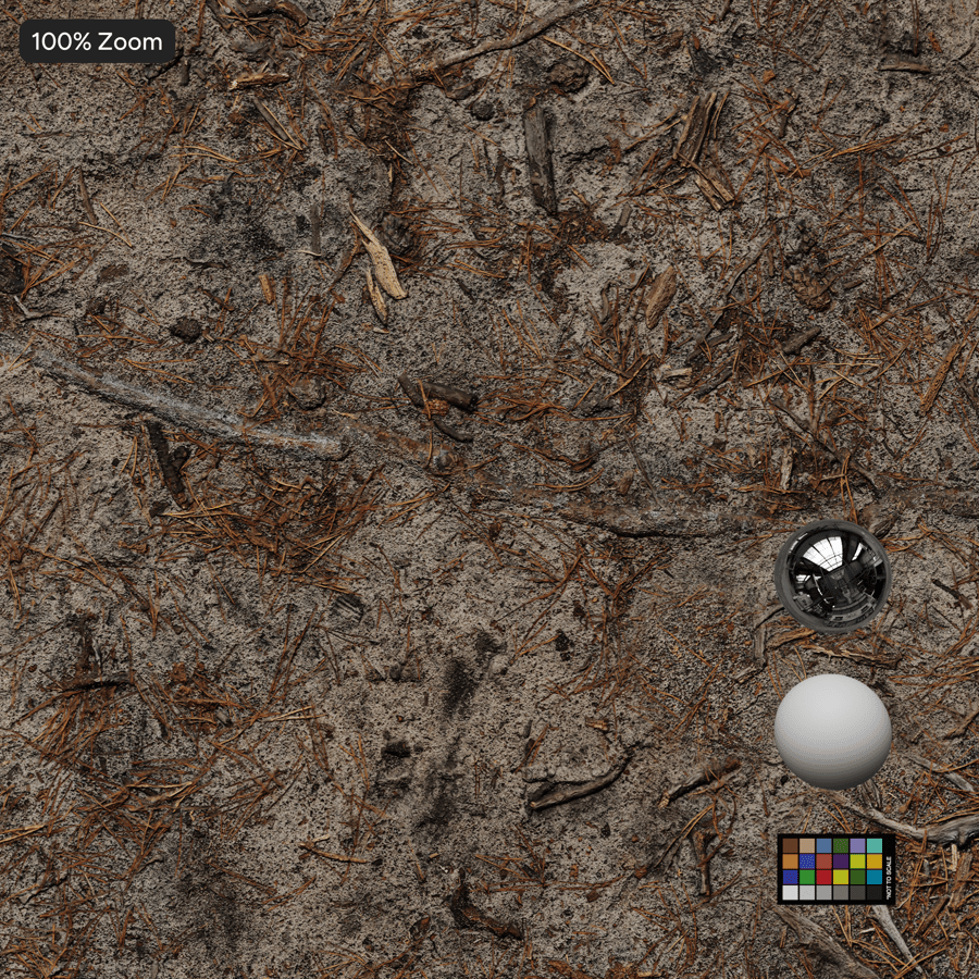 Szárított tűlevelű erdei talajon Szerkezet