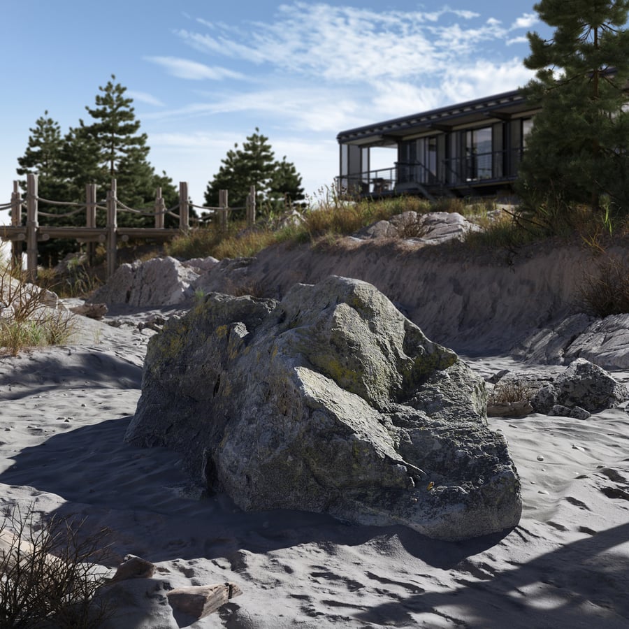 Medium Lichen Covered Beach Rock Model