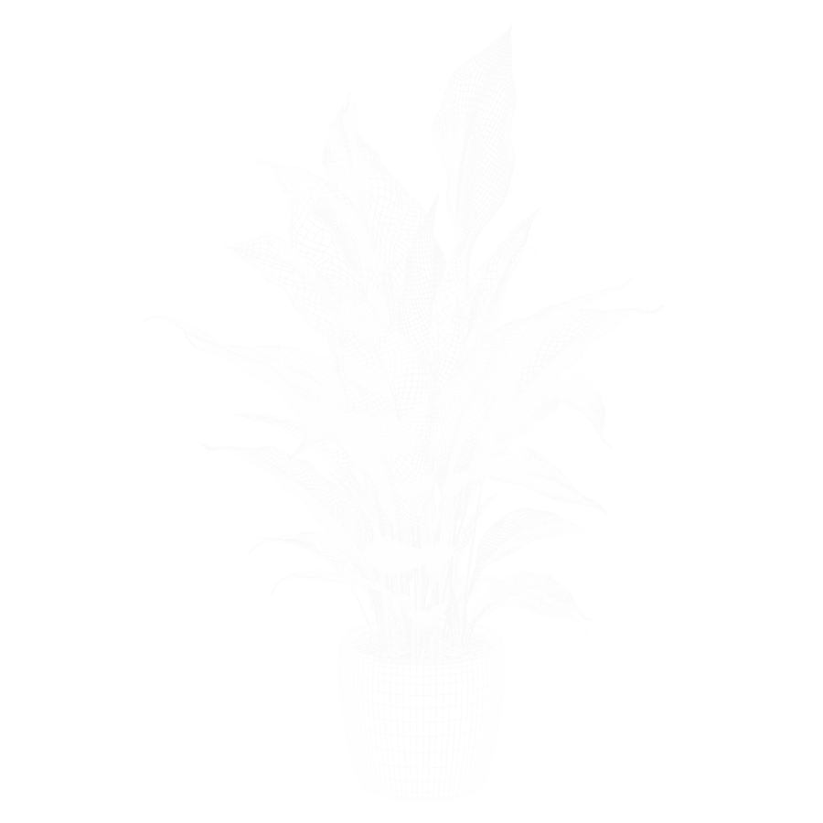 Peace Lily Plant Model
