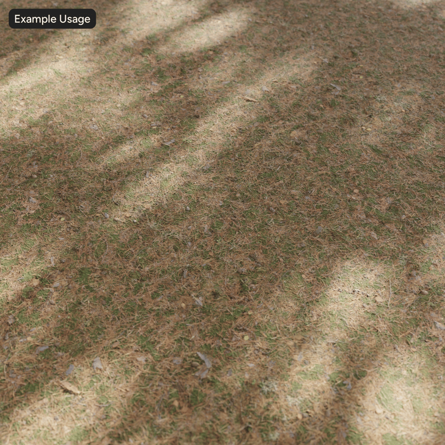 Fallen Conifer Leaves on Grass Ground Texture