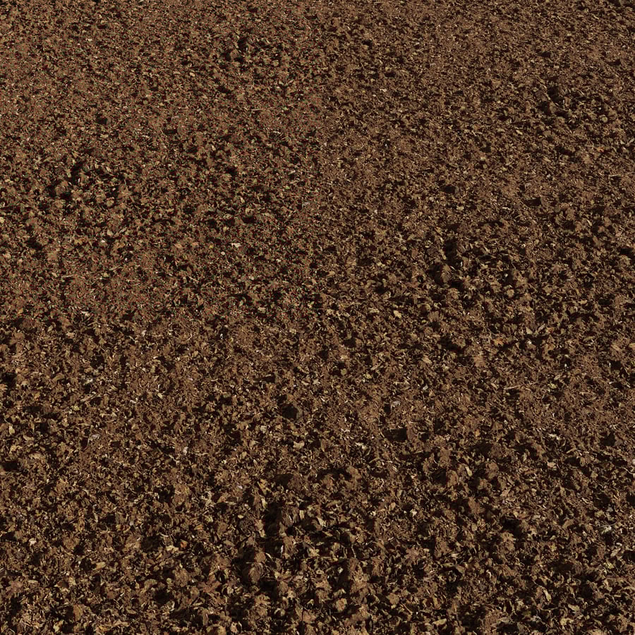 Soil With Forest Debris Texture
