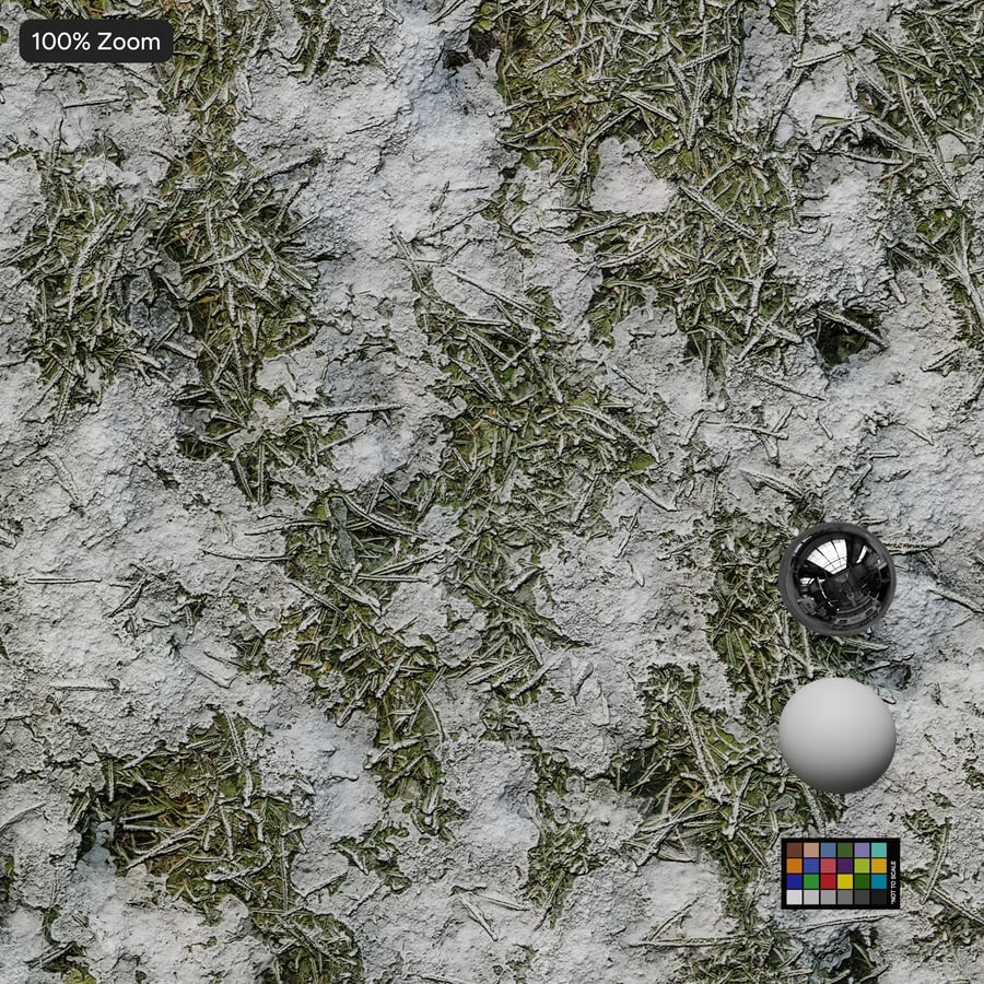 Frost on Grass Texture