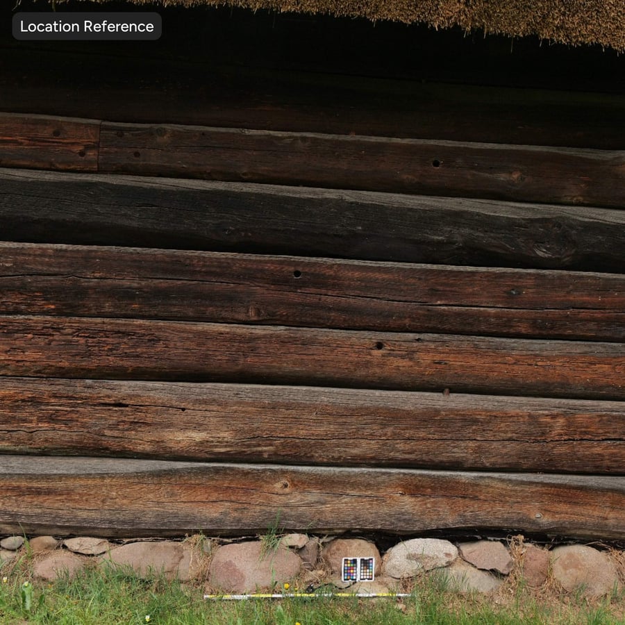 Texture parete con rivestimento in tronchi stagionati