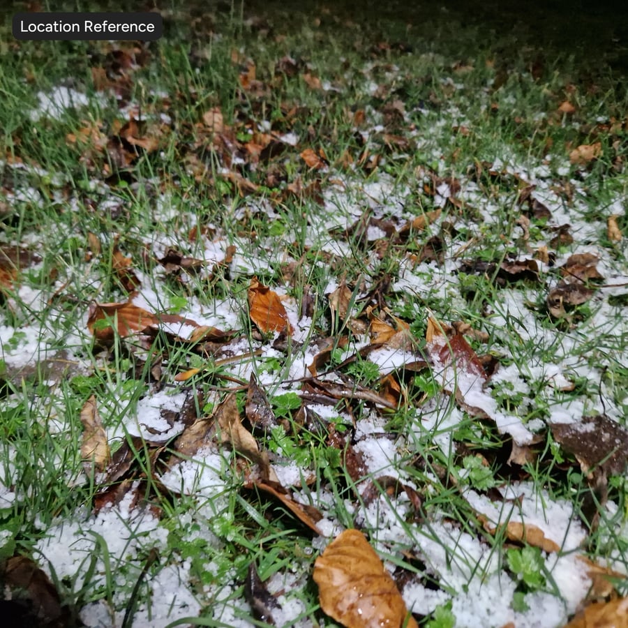 Textura de neve e folhas caídas na relva