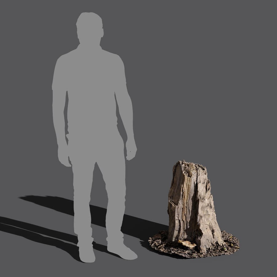 Medium Broken Damaged Stump Model