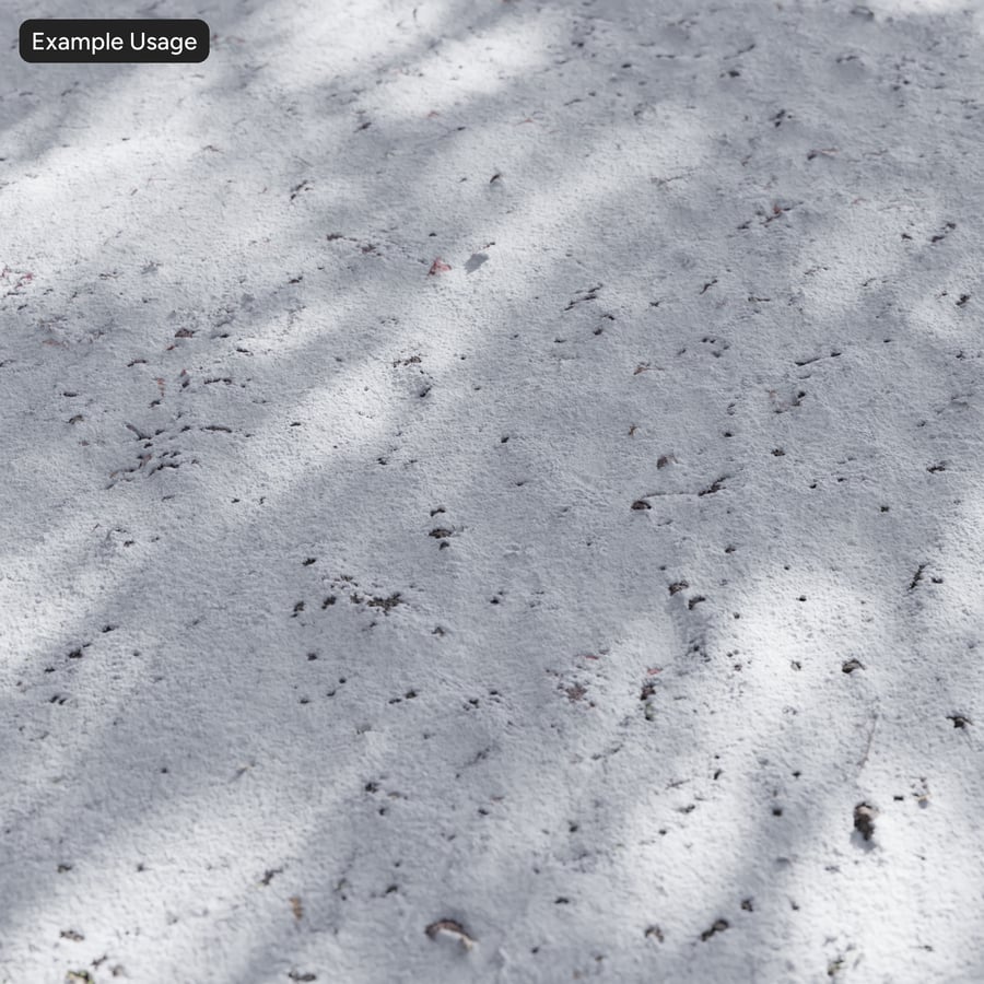 Snow on Grass Texture