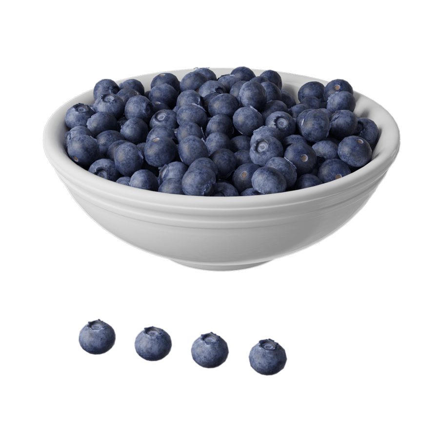 Blueberries Fruit Food Model