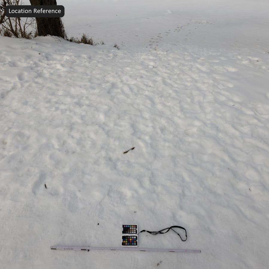 Footprints on Thick Snow Texture