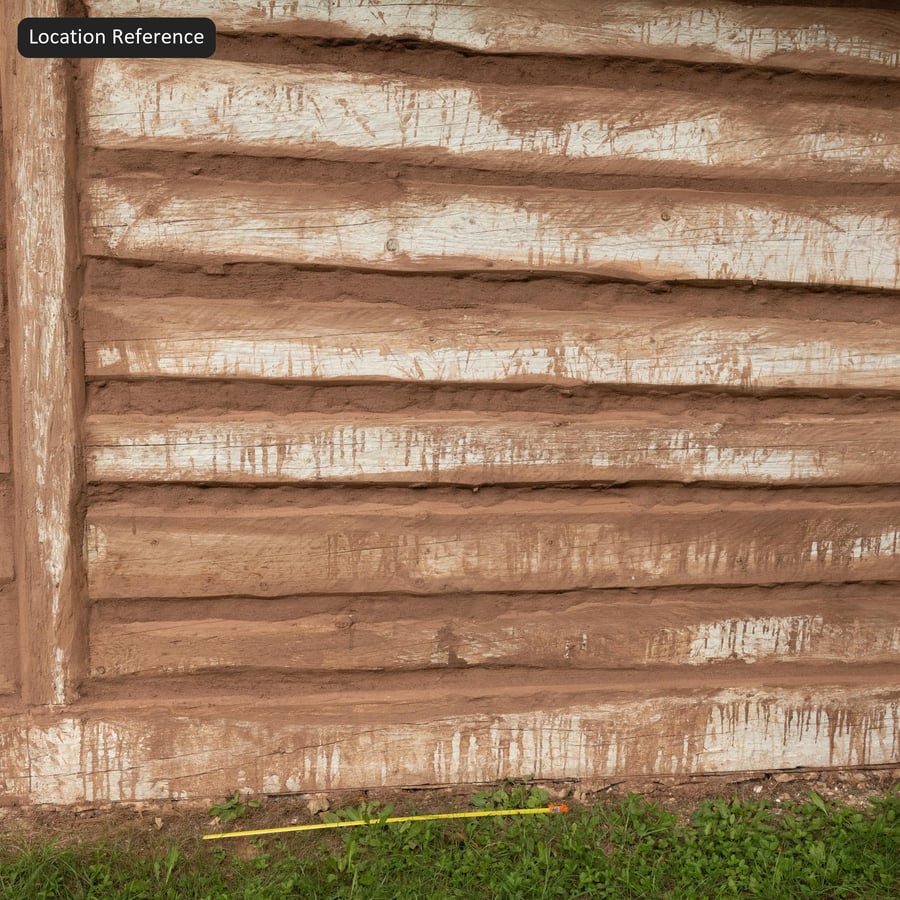 Texture Rivestimento in Tronchi Rustici Sgrossati, Beige Sabbia