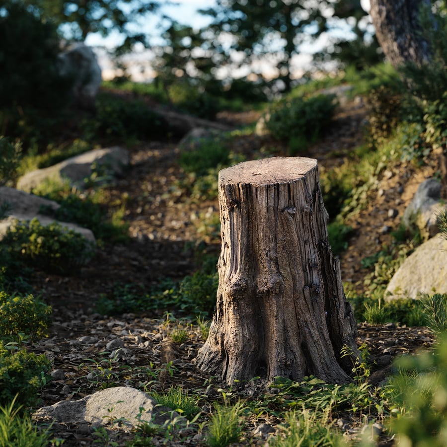 Medium Cut Splintered Stump Model