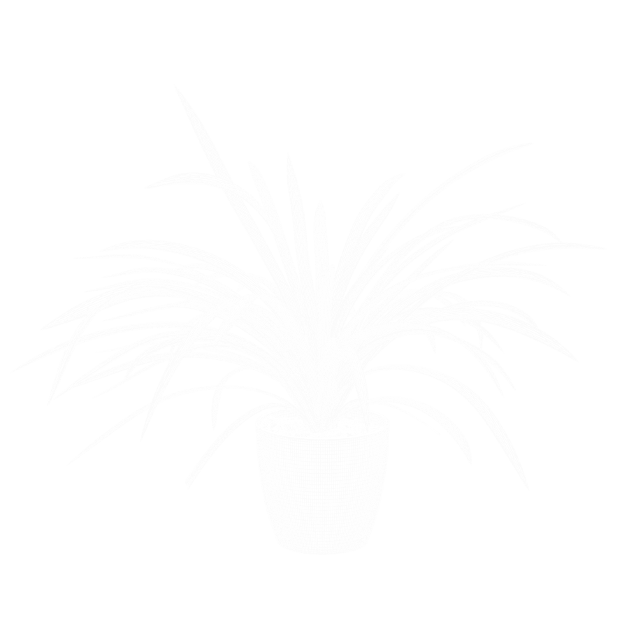 Modelo de planta aranha