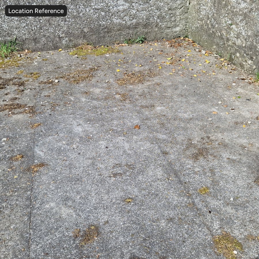 Textura de calçada de concreto antigo com musgo