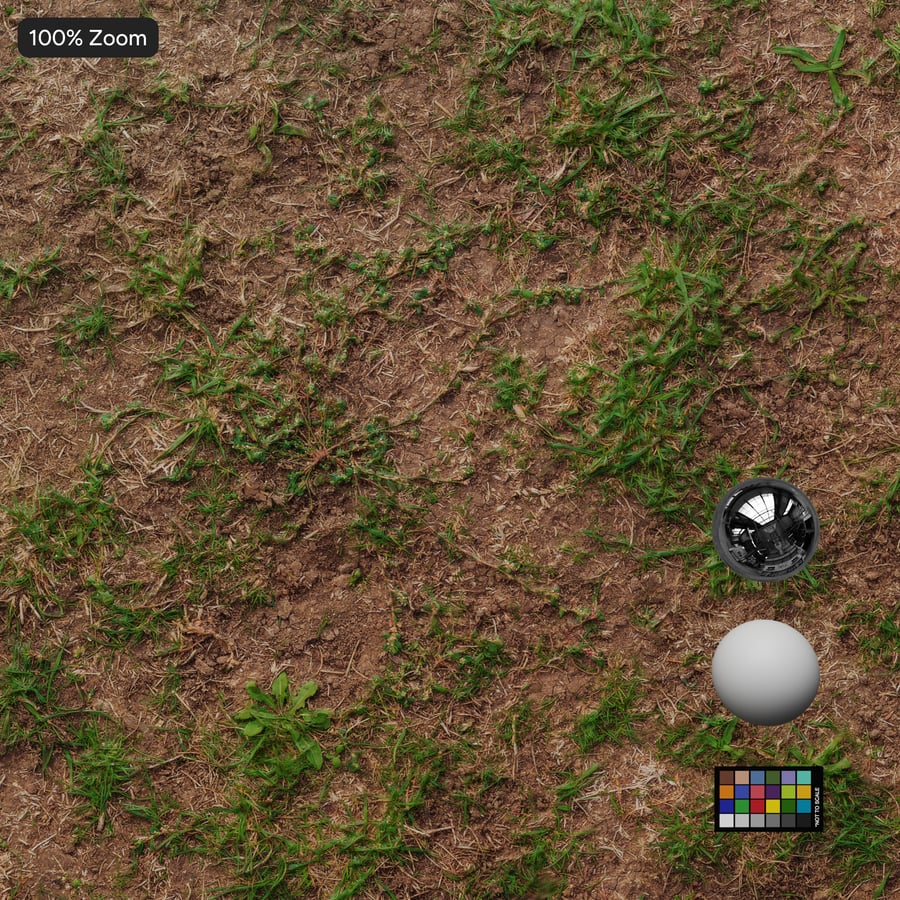 Patchy Dried Grass Texture