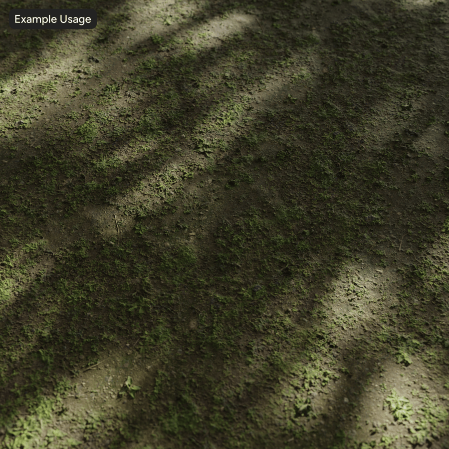 Patchy Grass on Dirt Texture
