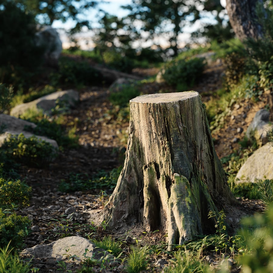 Short Cut Mossy Forest Stump Model