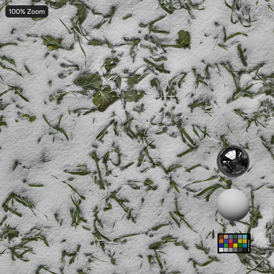 Textura de neve na relva