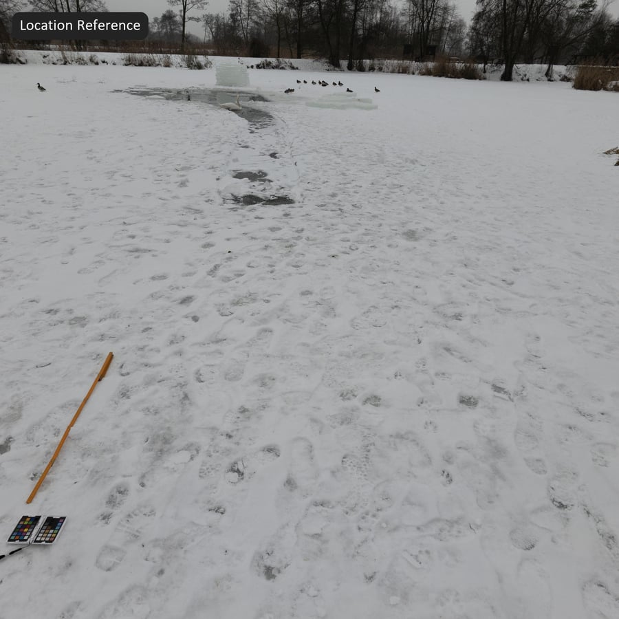 Footprints on Snow Texture