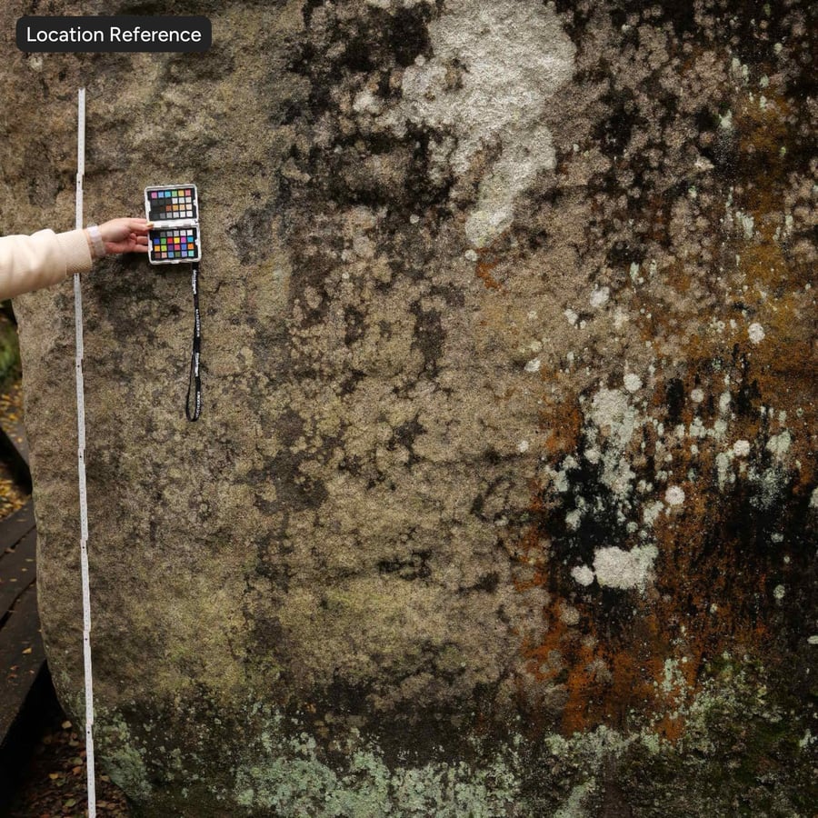 Texture roccia scoscesa macchiata di licheni