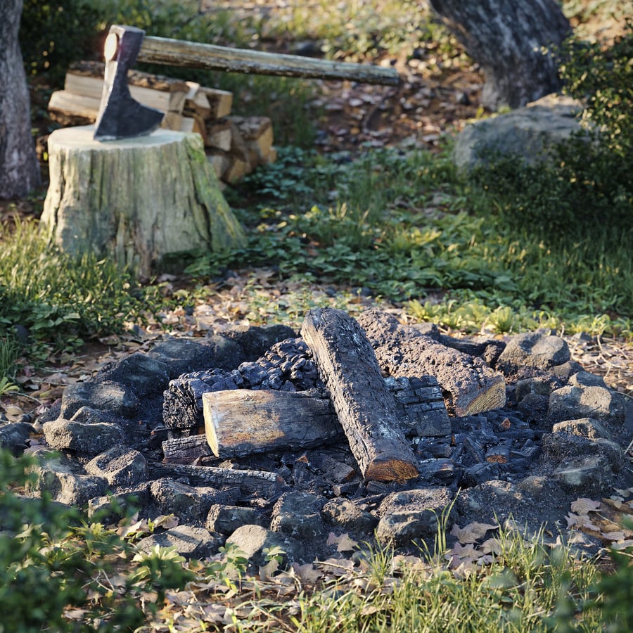 Partly Burned Split Firewood Models Collection