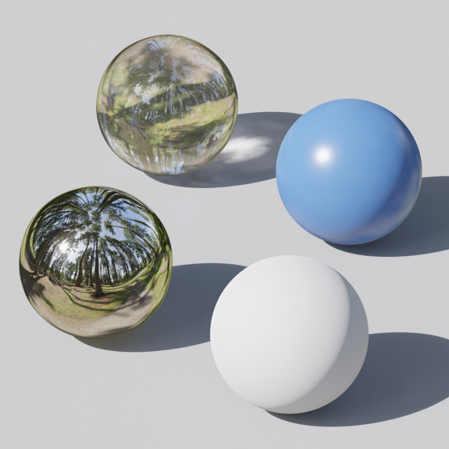 Trilha na floresta do parque em um dia claro à tarde, céu ao ar livre HDRI