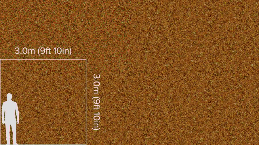 Textura de folhas mistas