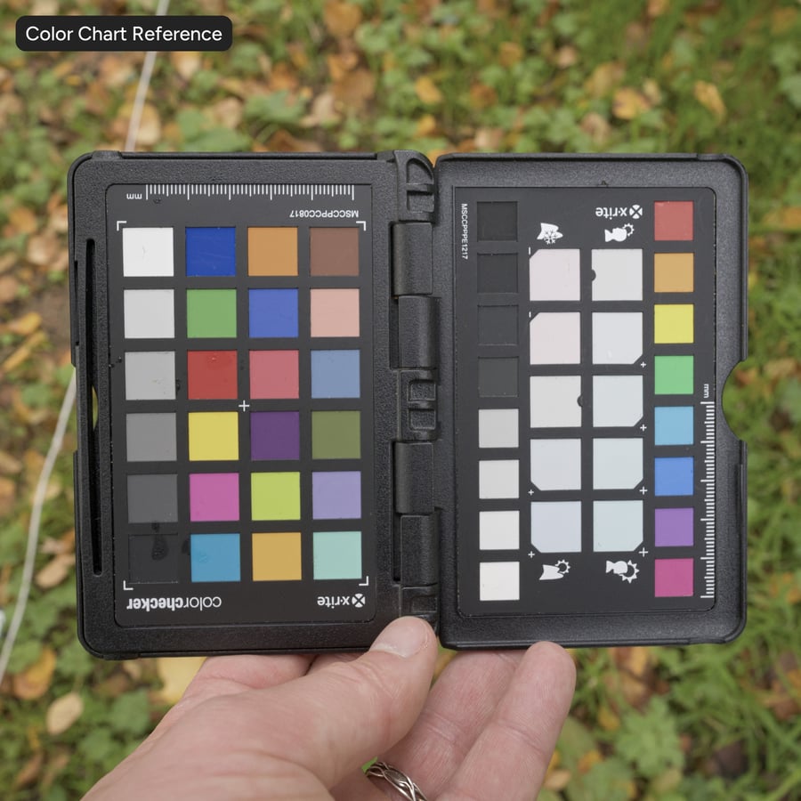 Leaves on Grass Texture