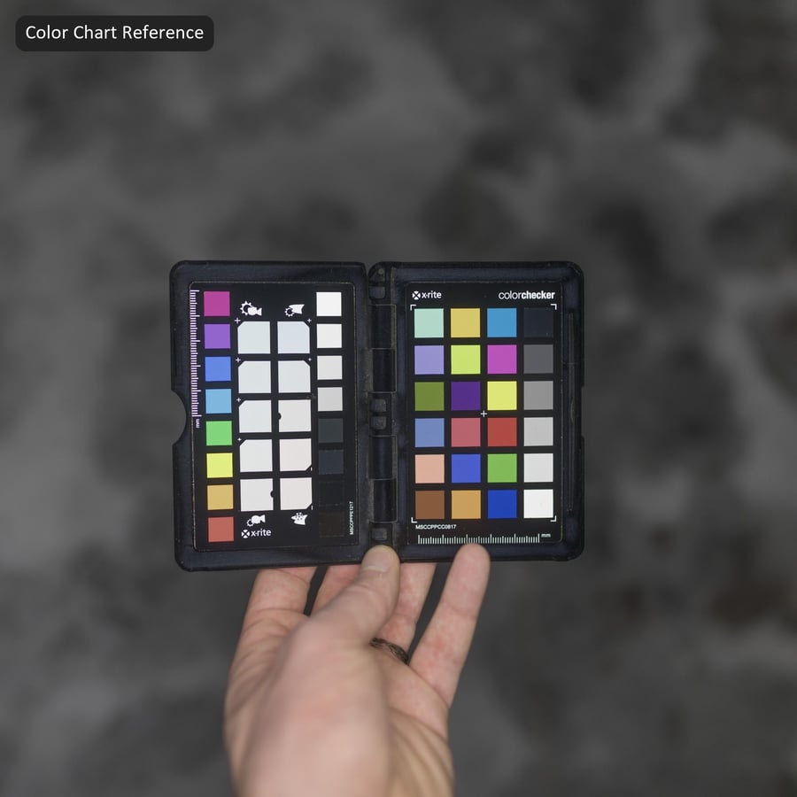 Texture d'empreintes de pas sur l'asphalte enneigé