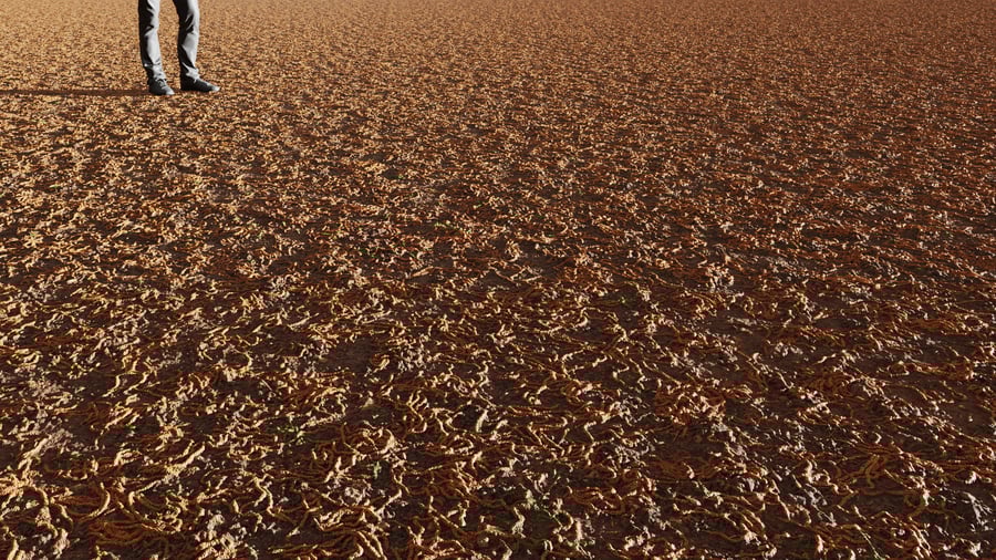 Sementes da floresta na textura da terra