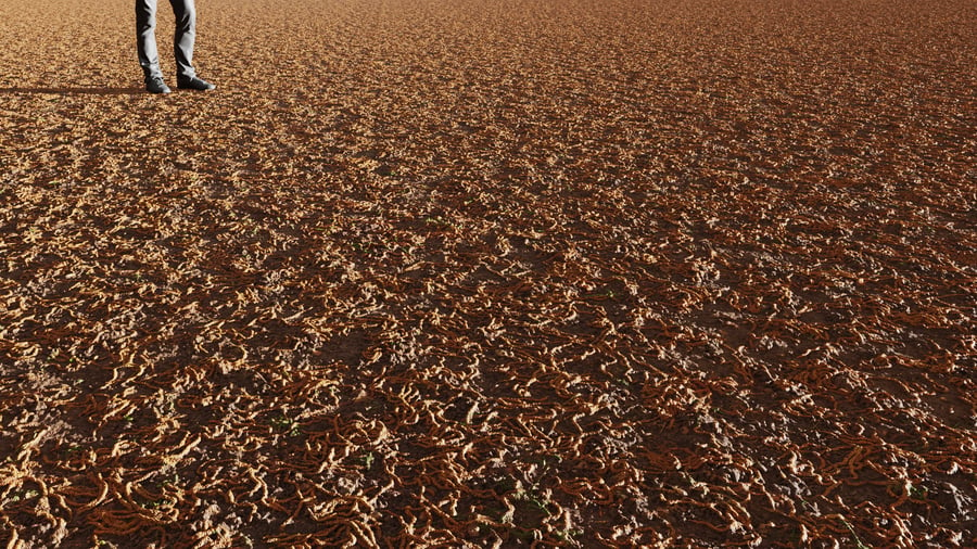 Forest Seeds & Dirt Ground Texture