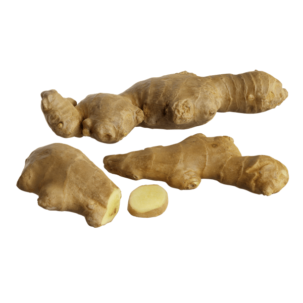 Ginger Models