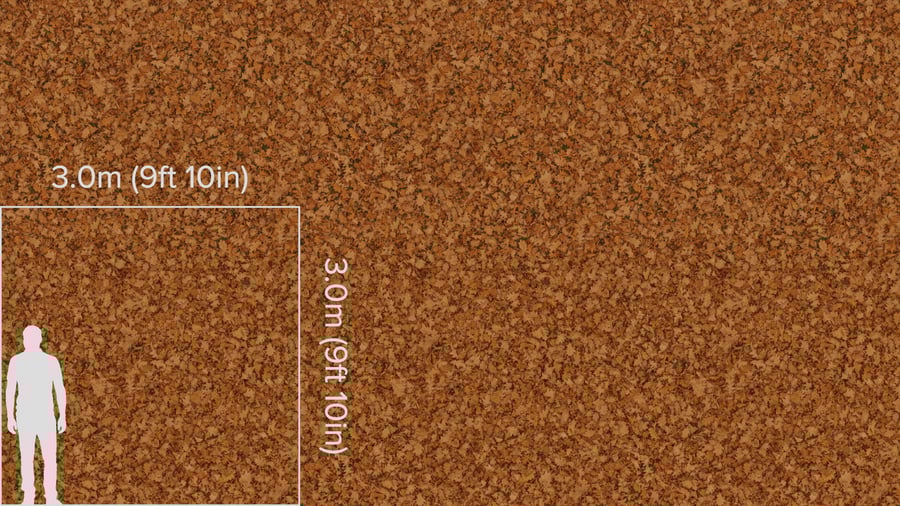Textura de folhas secas