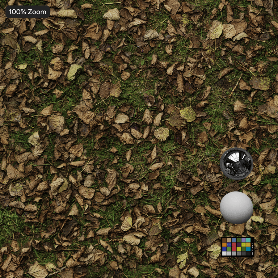 Çim Zemin Dokusu Üzerinde Yapraklar