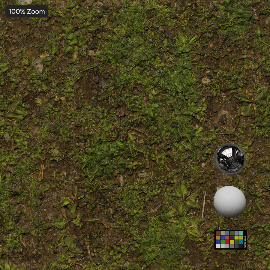 Patchy Grass on Dirt Texture