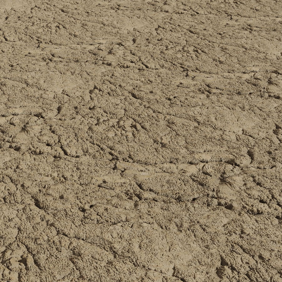 Cracked Mud Ground Texture