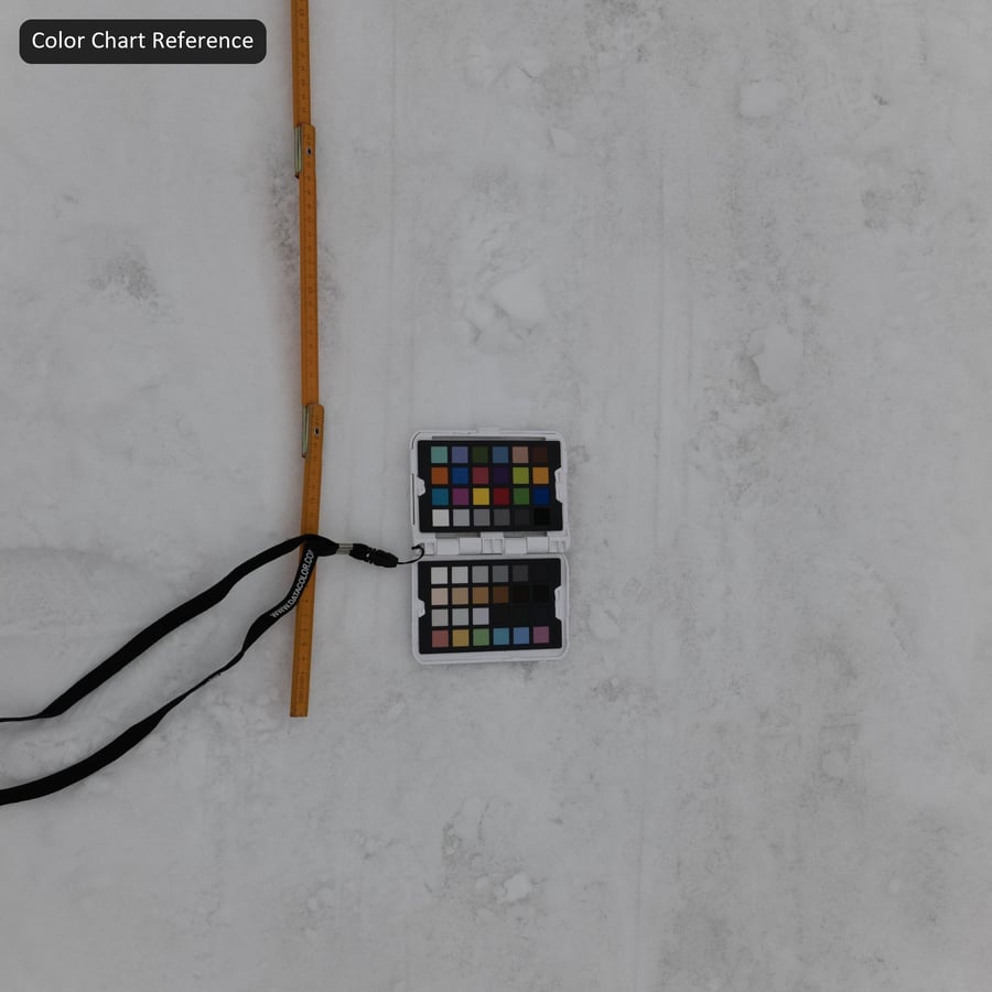 Tire Marks and Footprints on Snow Texture