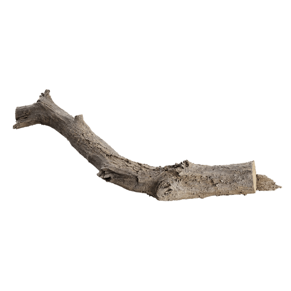 Medium Gnarly Splintered Log Model