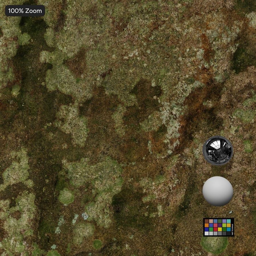 Textura de rocha de penhasco coberta por musgo pesado