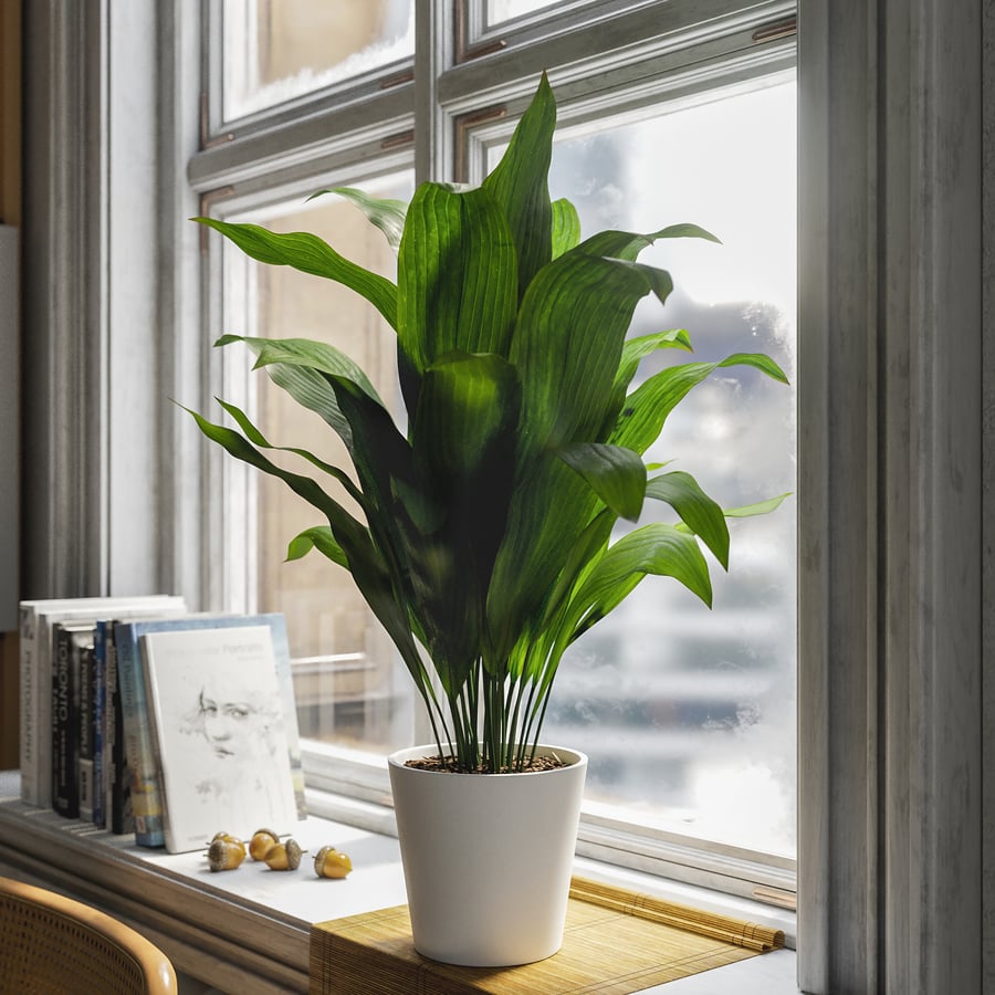 Planta em vaso de ferro fundido Modelo