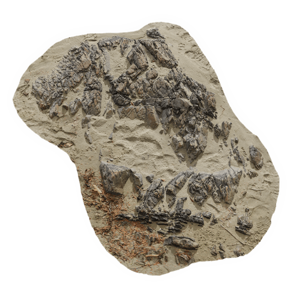 Medium Low Jagged Beach Rock Model