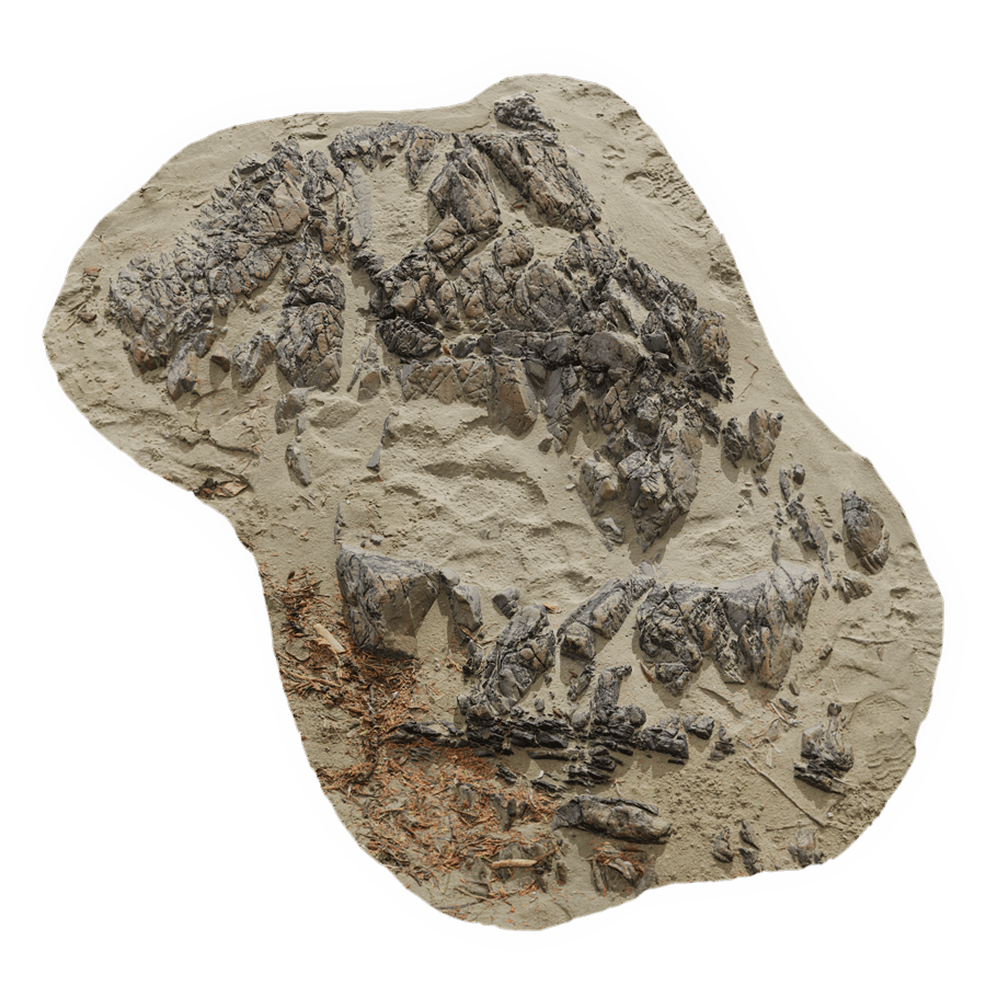 Medium Low Jagged Beach Rock Model